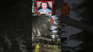 wides.pl BFVfApkVFnE 