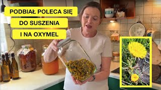 wides.pl BG_nqQ9qPkQ 