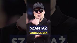 wides.pl BUItu9XFzwI 