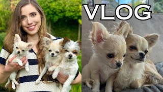 wides.pl BYMkQ1LuTIM 