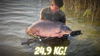 wides.pl B_75jEYgwiI 