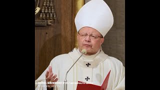 wides.pl BfmOsM7IGQA 