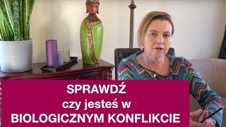 wides.pl BxGV6ys6gz4 