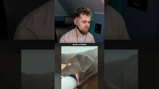 wides.pl C40HRcAj1wA 
