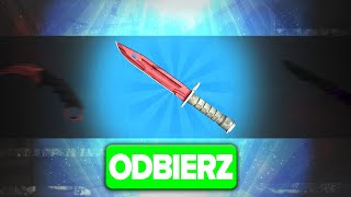 wides.pl C7UEGfUvJvc 