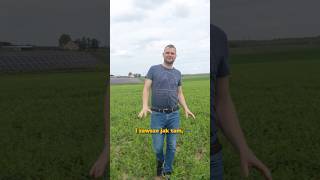 wides.pl CFt6Azpku4k 