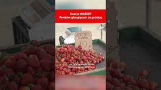 wides.pl CNrwNWjN-Ps 