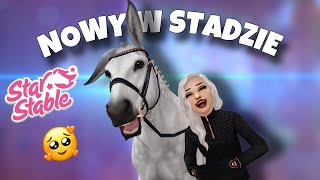 wides.pl CQ9wytZ9n3M 