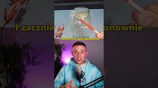 wides.pl CXoRV_zINmQ 