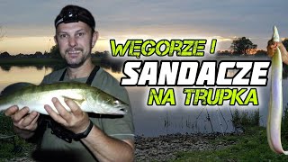 wides.pl C_soHcOTxwo 