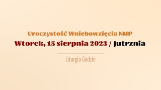 wides.pl CjPrXQN8yw8 