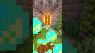 wides.pl CqC2B5wpRls 