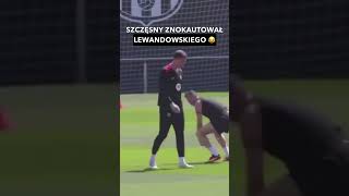 wides.pl CuAjBLSvy0I 