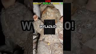 wides.pl CuOXc9dms4o 