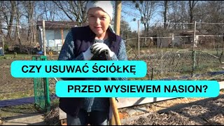 wides.pl CvlU1u0p75U 