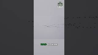 wides.pl D8msUF8_40A 