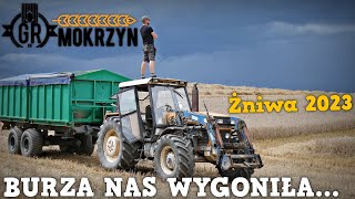 wides.pl D93eaFKNYh0 