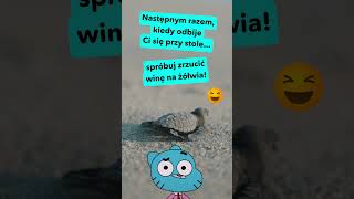 wides.pl Dpo99STtGHM 