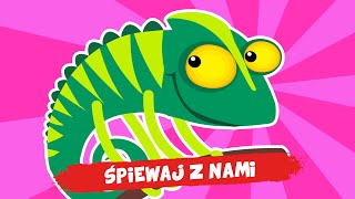 wides.pl EEvmcq8c9kY 