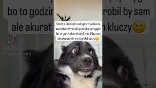 wides.pl EH_zRIfInXY 