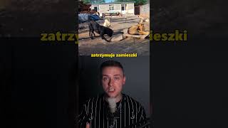 wides.pl EKZeXoi0J_A 