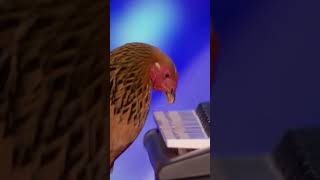 wides.pl EQDSjHfE5o0 