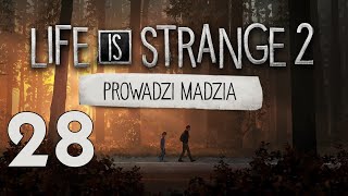 wides.pl ERYB_sC3XHQ 