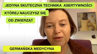 wides.pl Ek5MpqtxS0g 