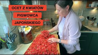wides.pl Etro-2sI7qg 