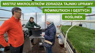 wides.pl F2z0IozCf08 