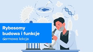 wides.pl FNTqjqNgXGQ 