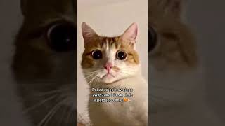 wides.pl G9nkocN_oTo 