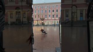 wides.pl GK2lhnxQ804 