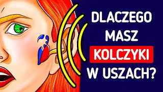 wides.pl GYZiYzyE7PY 