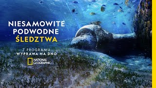 wides.pl Gx5zsFhoAW4 