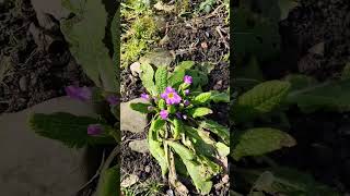wides.pl H-LlOF8eytM 