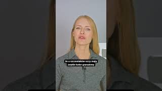 wides.pl HBLSJ8S3CQU 