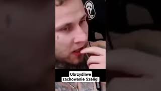 wides.pl HBgv1CTYSKA 