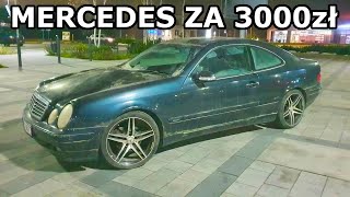 wides.pl HCoDVv55t2k 