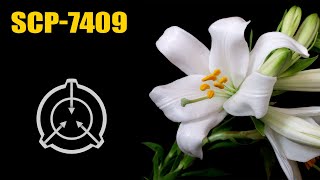 wides.pl Hpf0Bh-Do9s 