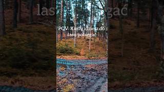 wides.pl I-bCGcUHYOk 