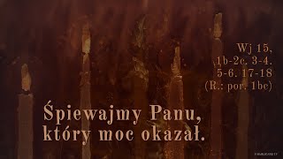 wides.pl I4f4hcZxdWM 