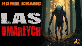 wides.pl IBk3UJ0zuZ0 