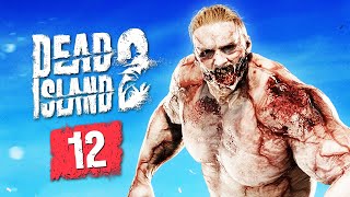 wides.pl IJhOrCk7ufU 