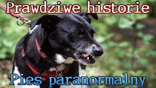 wides.pl IOhJeJ_ZdlM 