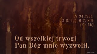 wides.pl IVGwupd_Qg4 