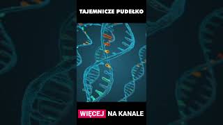 wides.pl IpAfORUhDZQ 