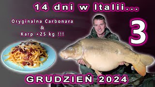 wides.pl JMHIIHq6aBU 