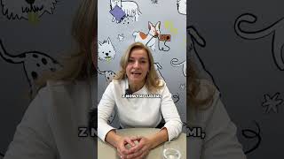 wides.pl JOFP3jpm-Ks 