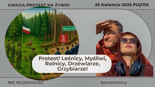 wides.pl JmzNoRDUkVA 